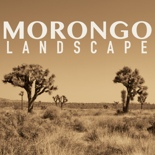 Morongo Landscape